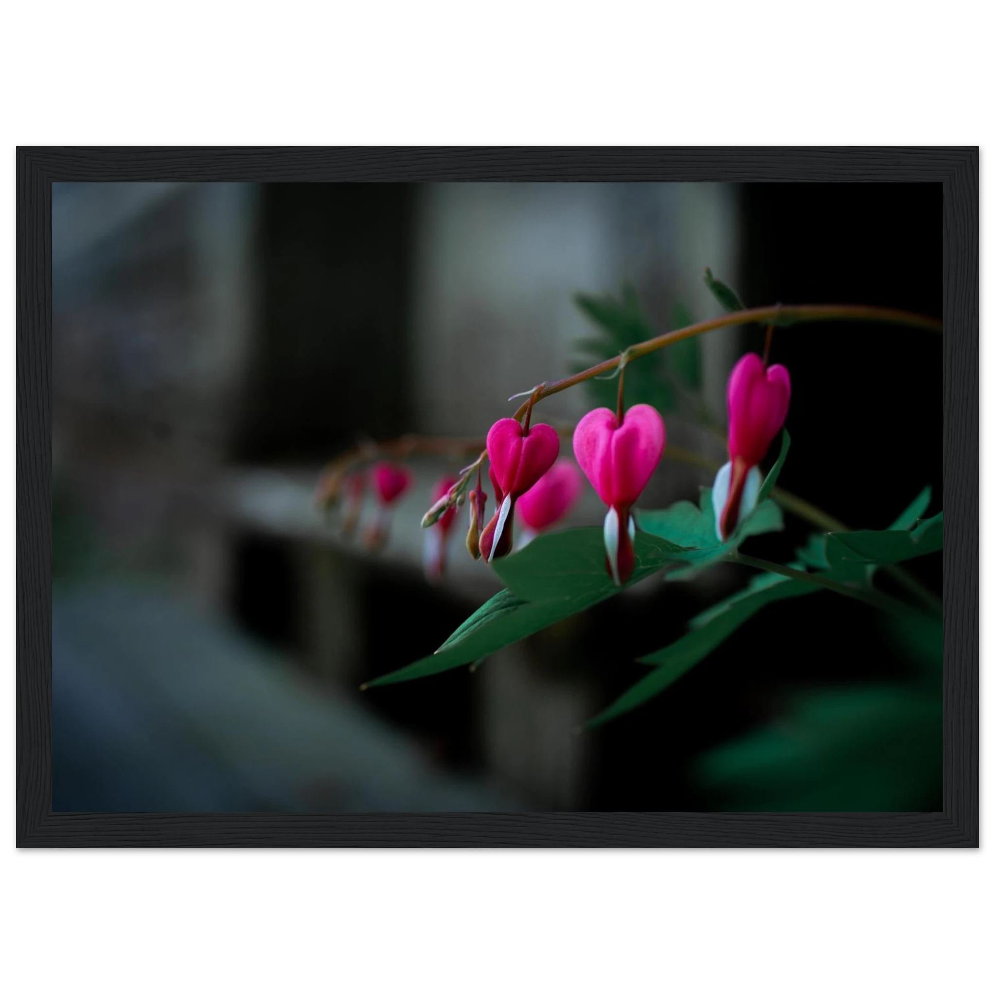 e61dde49-6ab1-4ae5-9d9f-f432995a2b9f