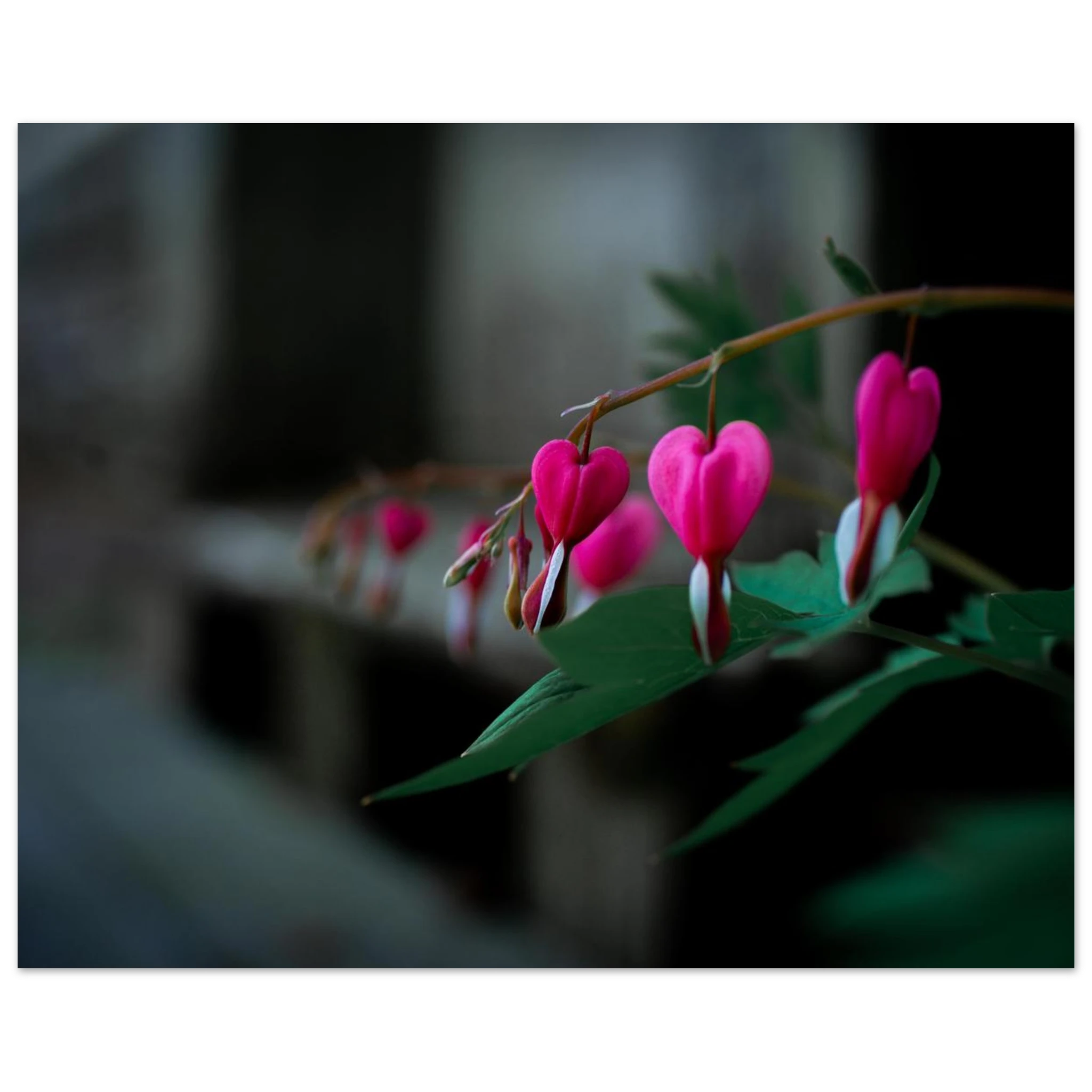 e65634a3-9395-4d5c-9dcd-5064d87cdc73