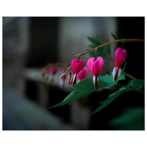 e65634a3-9395-4d5c-9dcd-5064d87cdc73