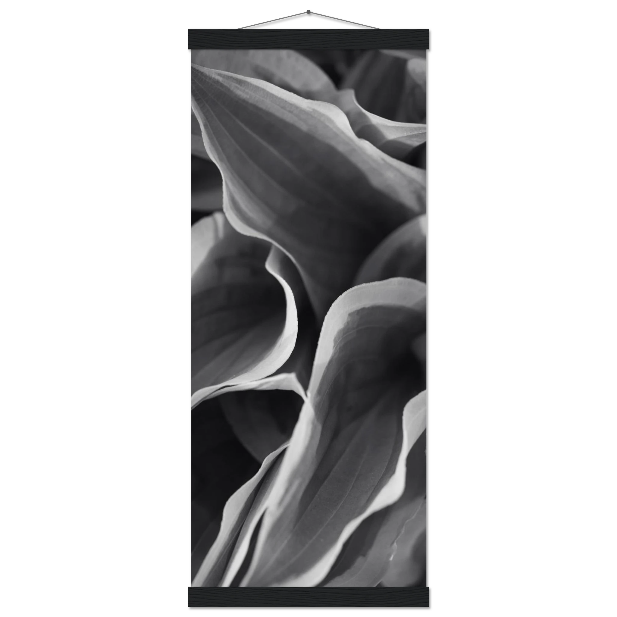 e743b5c7-f9ee-441f-bacb-41317a54c13f