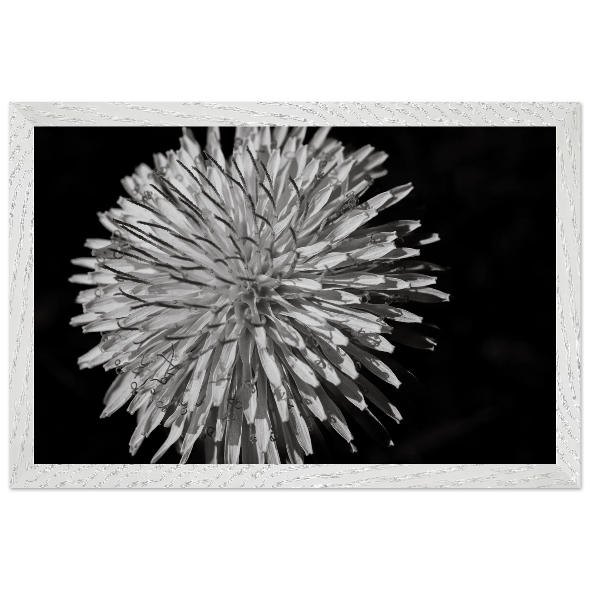 e7bb52a7-bff7-4d12-873d-0823ac27a1cd