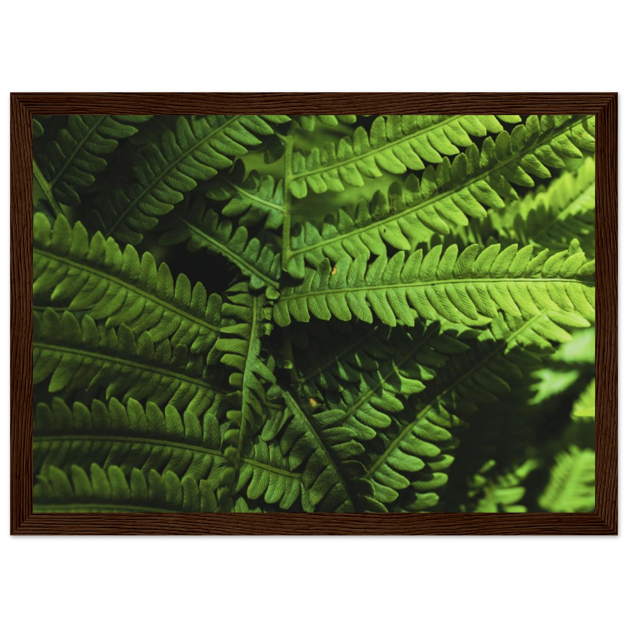 e86c2819-5a68-44bc-94f3-c0083f7c7dd0