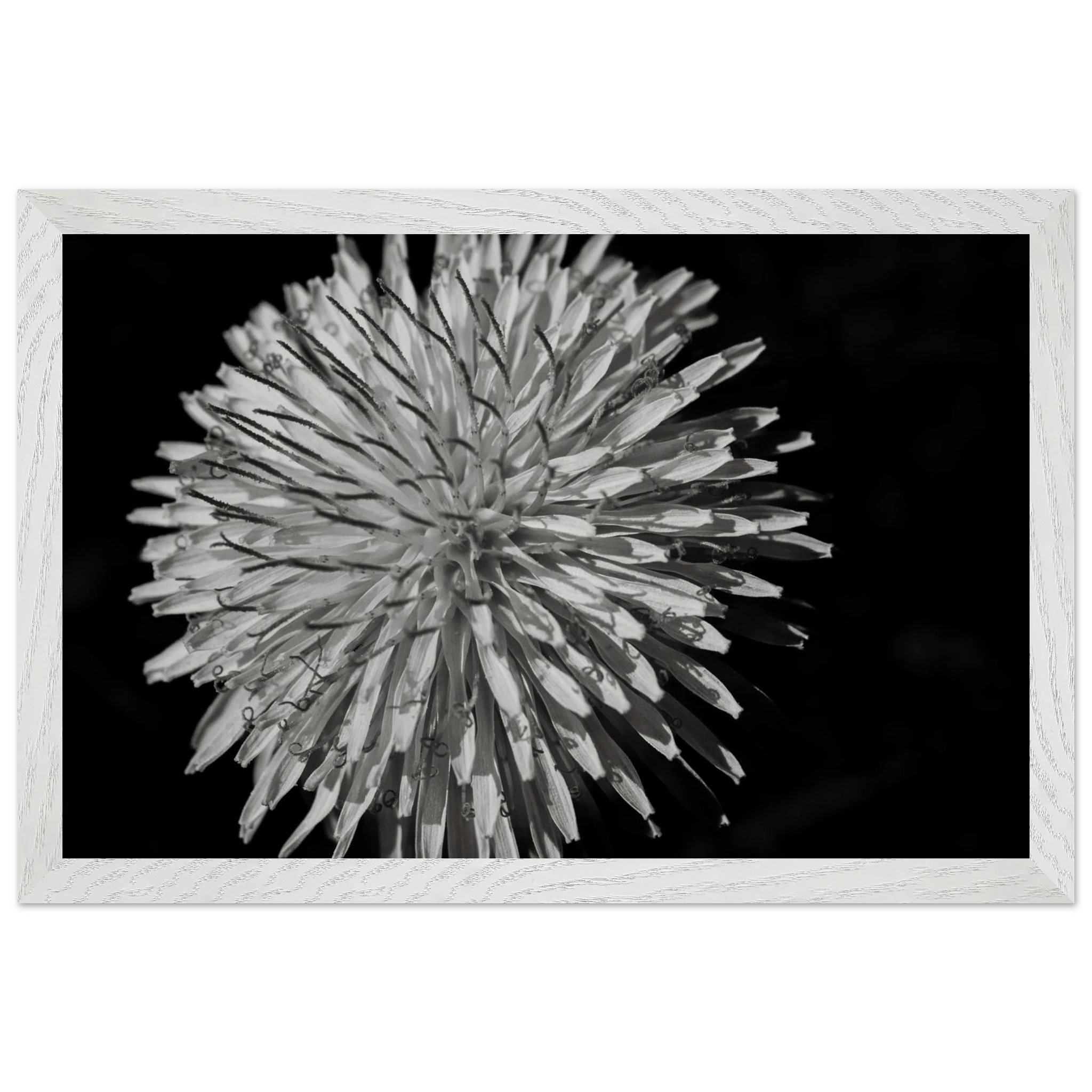 e999cd64-9348-4be4-9b22-367bad31bc50