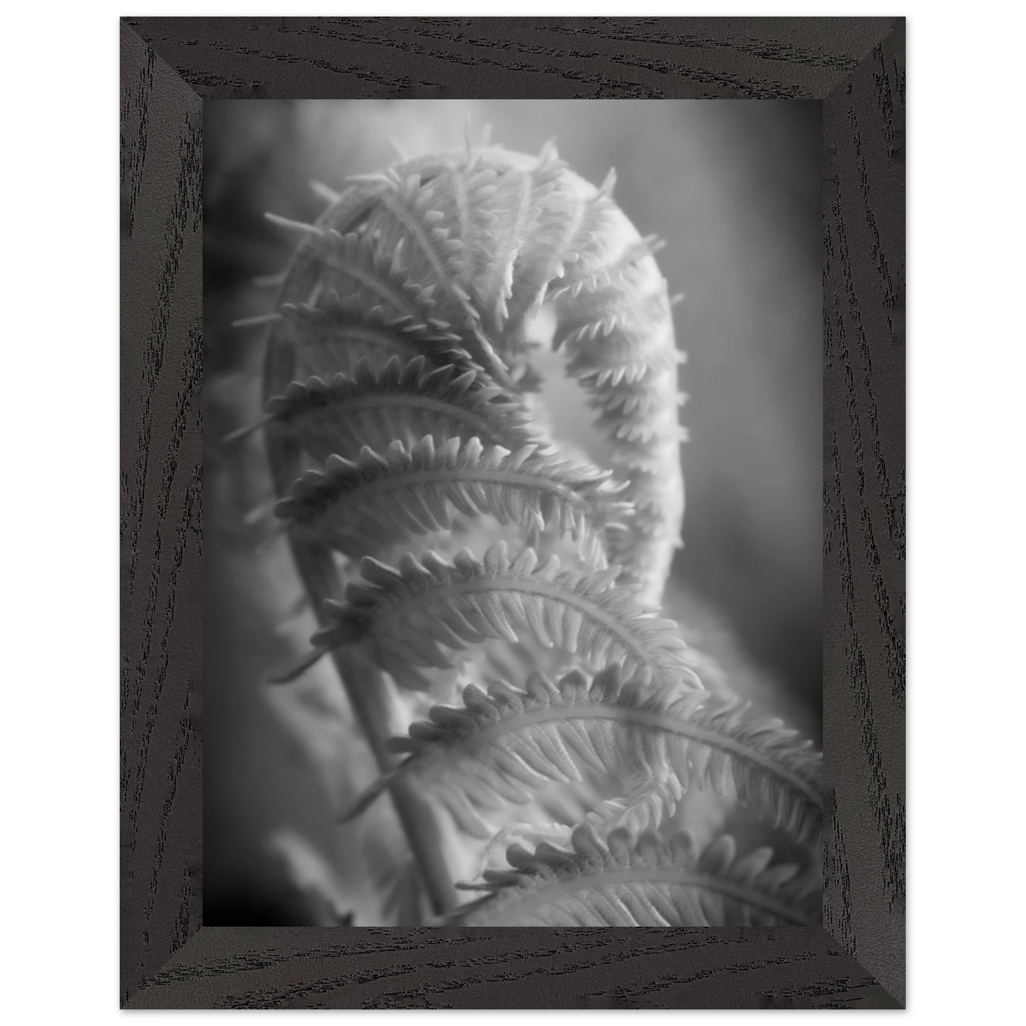e9bf3e37-dceb-4ed2-bbd9-1548d97de8e4