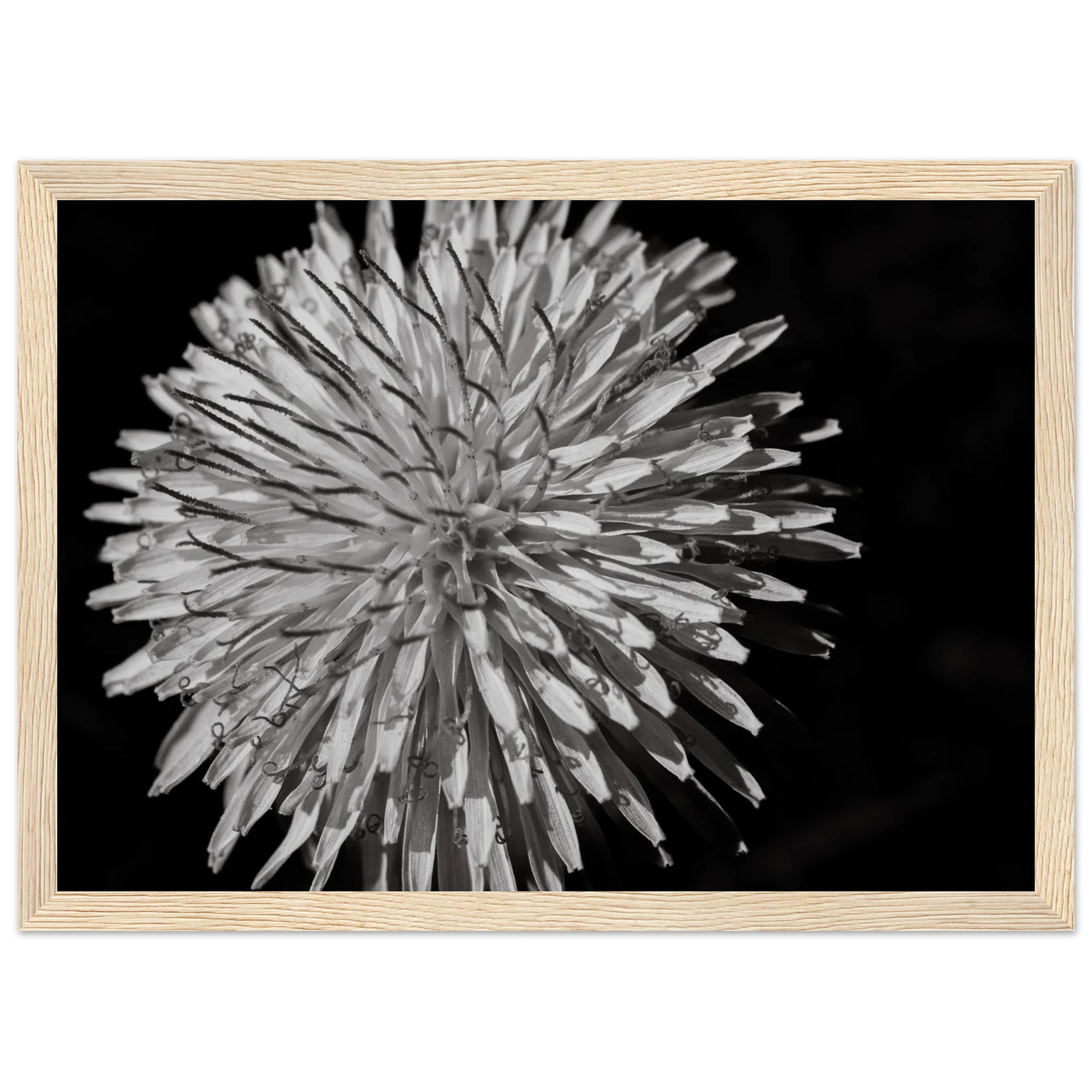 ea075246-fa59-4ba1-b703-aabe2ed2b7bc