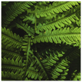 ea74aefe-e24d-4ae4-a7c3-644c2ef8082e