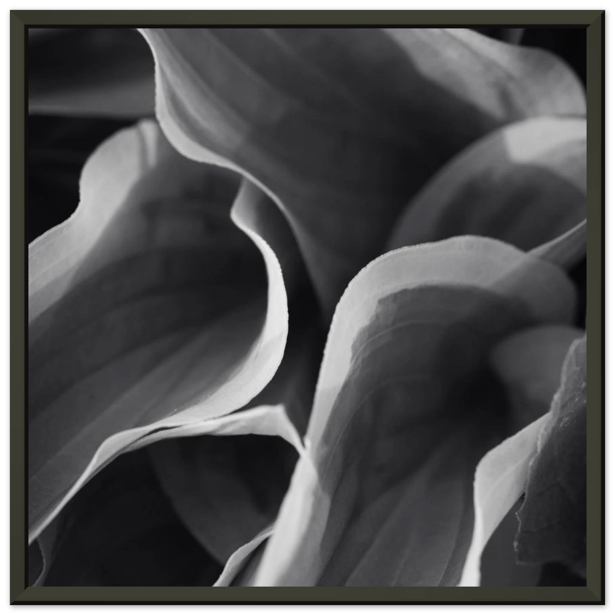 eb1d2725-baf5-43aa-8337-24e10e4da977