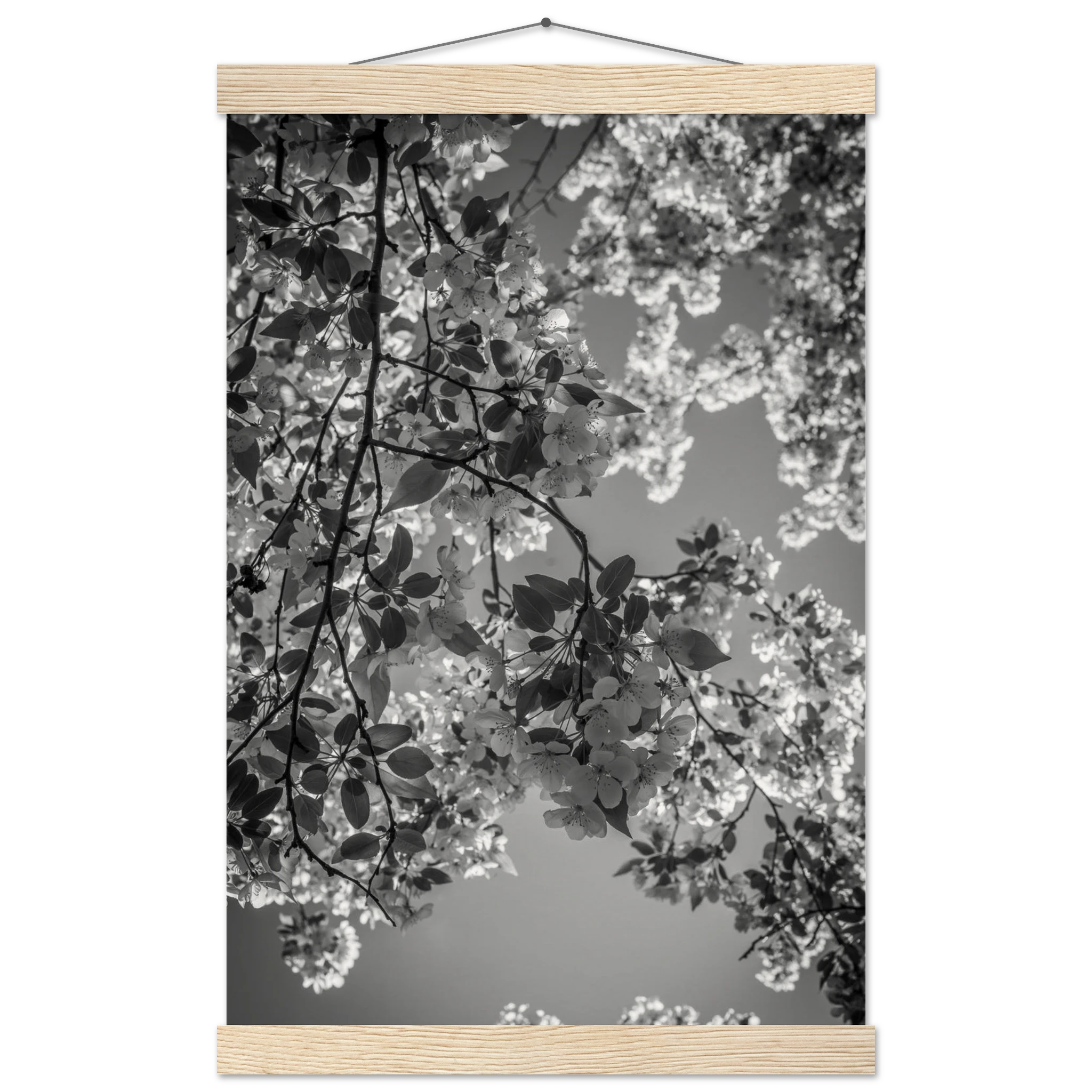 ec7978db-9d0b-48e1-a439-76be4d729004