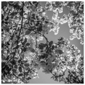 ed1ba8e9-2298-4dee-99f8-7726ba462c19