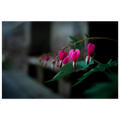 f195bcbf-e132-4334-a91f-a0171494110d