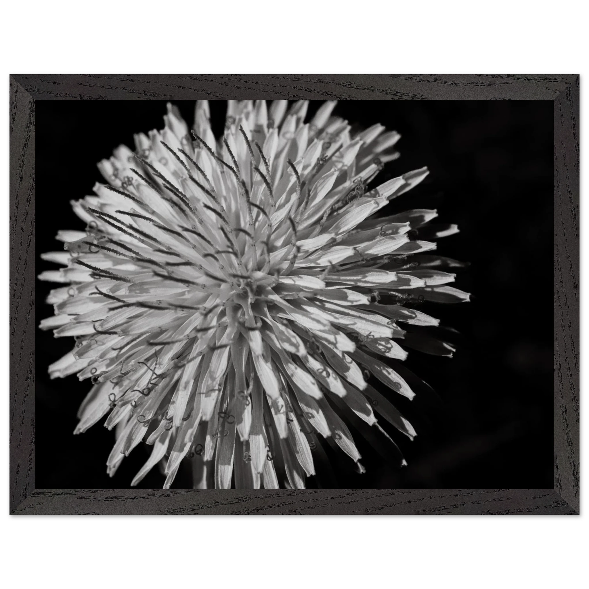 f1e35591-2f72-4164-a406-4de1b67c9076