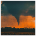 f222d224-6236-4d95-83b2-403540ee74e0