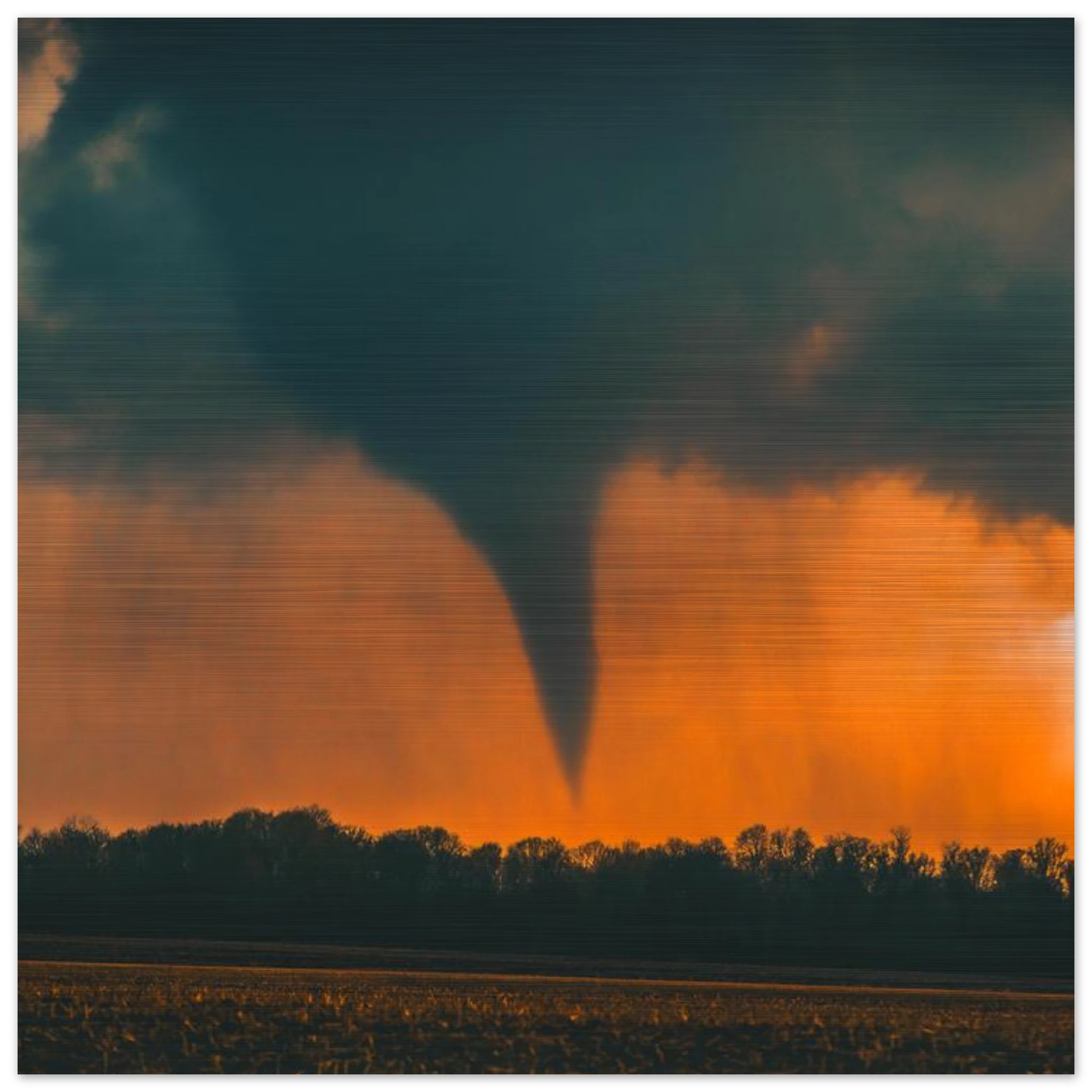 f222d224-6236-4d95-83b2-403540ee74e0