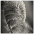 f525405c-1a11-46c7-bf0d-df3f1e985886