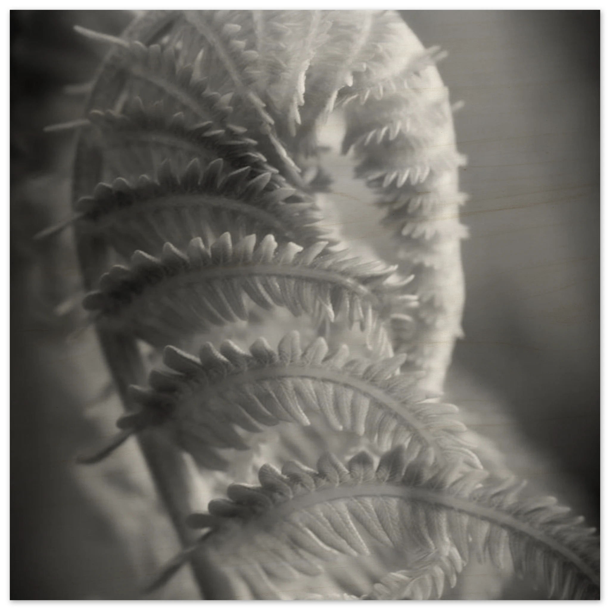 f525405c-1a11-46c7-bf0d-df3f1e985886