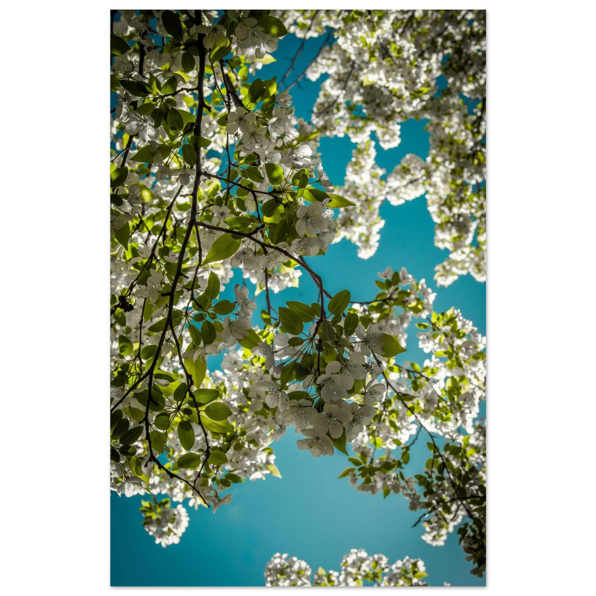 f5fd6d51-056f-49b6-9ecb-ab8848b93e38