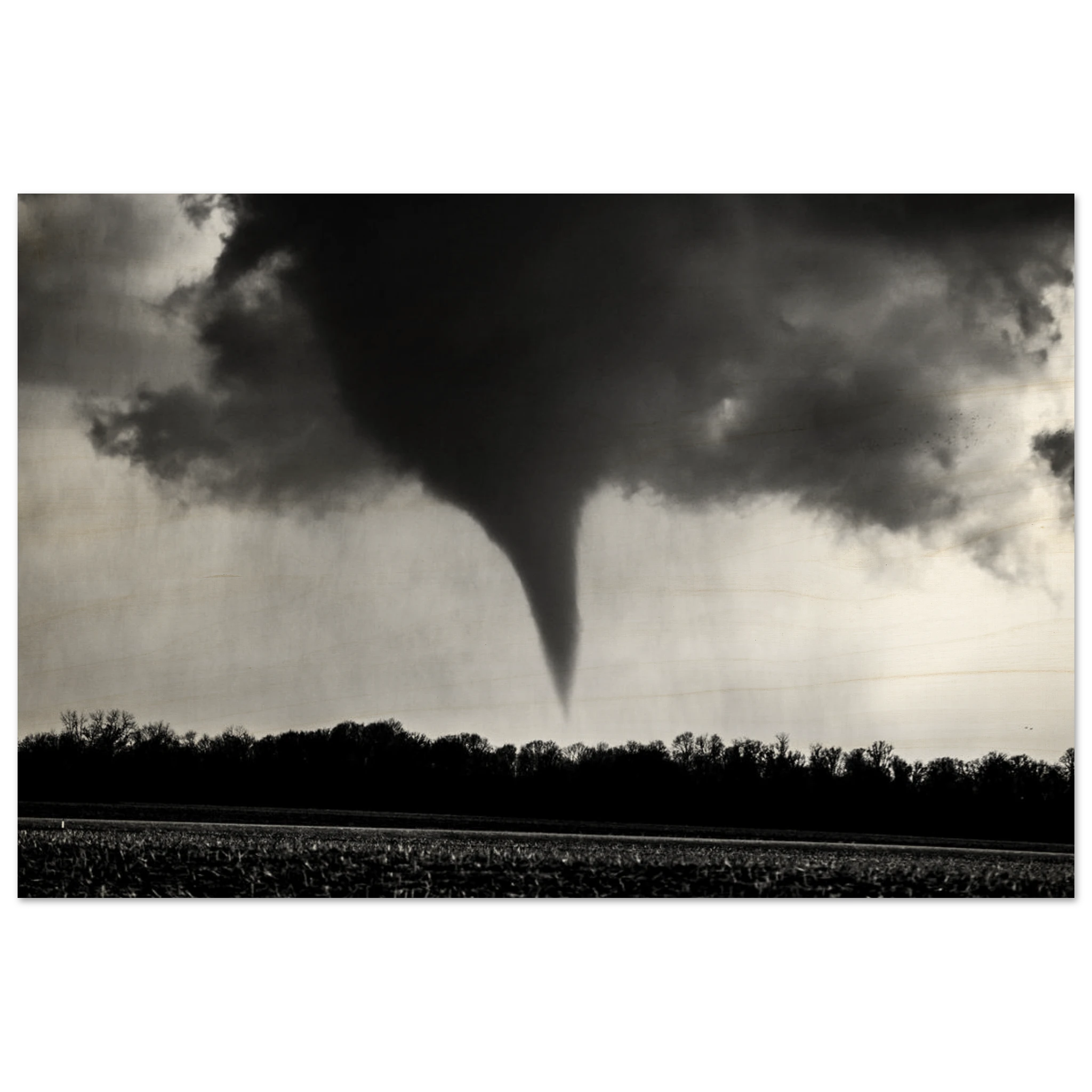 f6ec3c15-9e3f-4596-8891-e72952d3d684