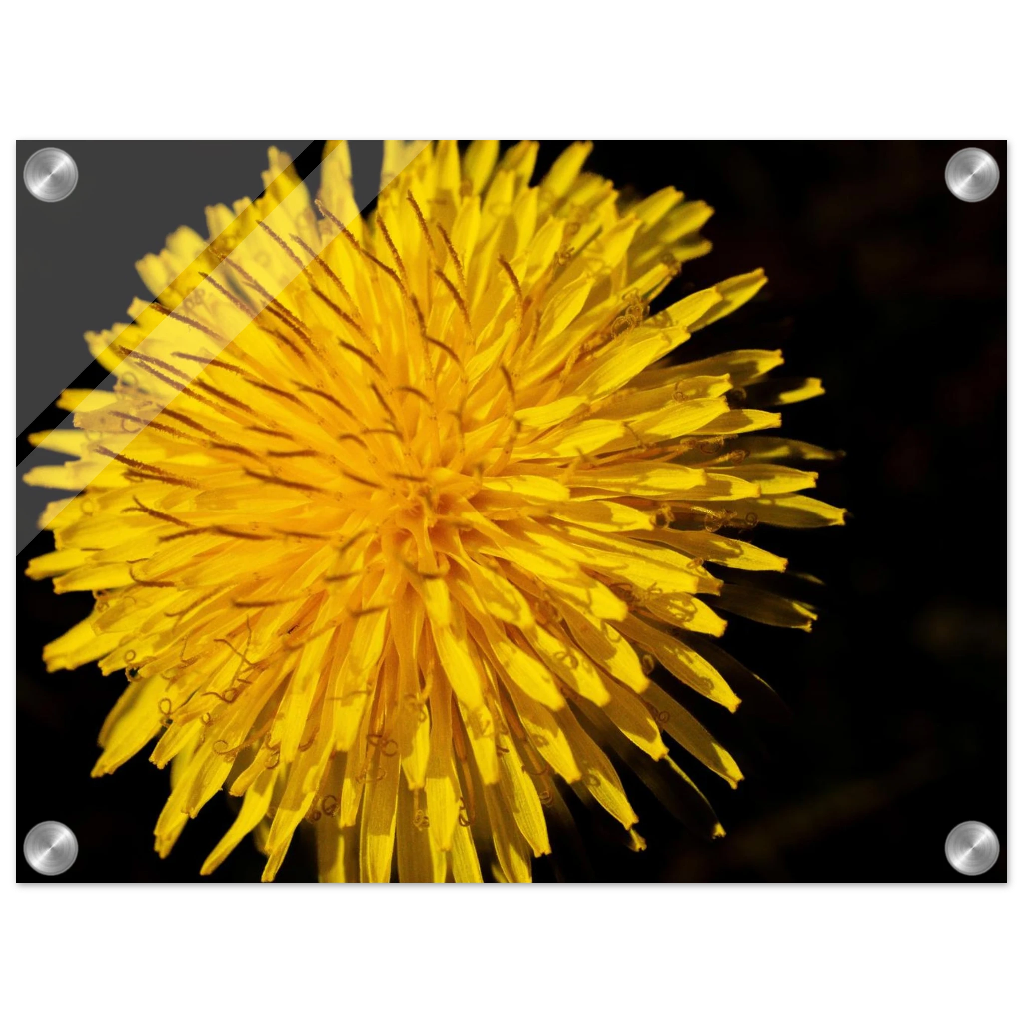 f9850838-5336-4d5f-8c75-15b8ea781028