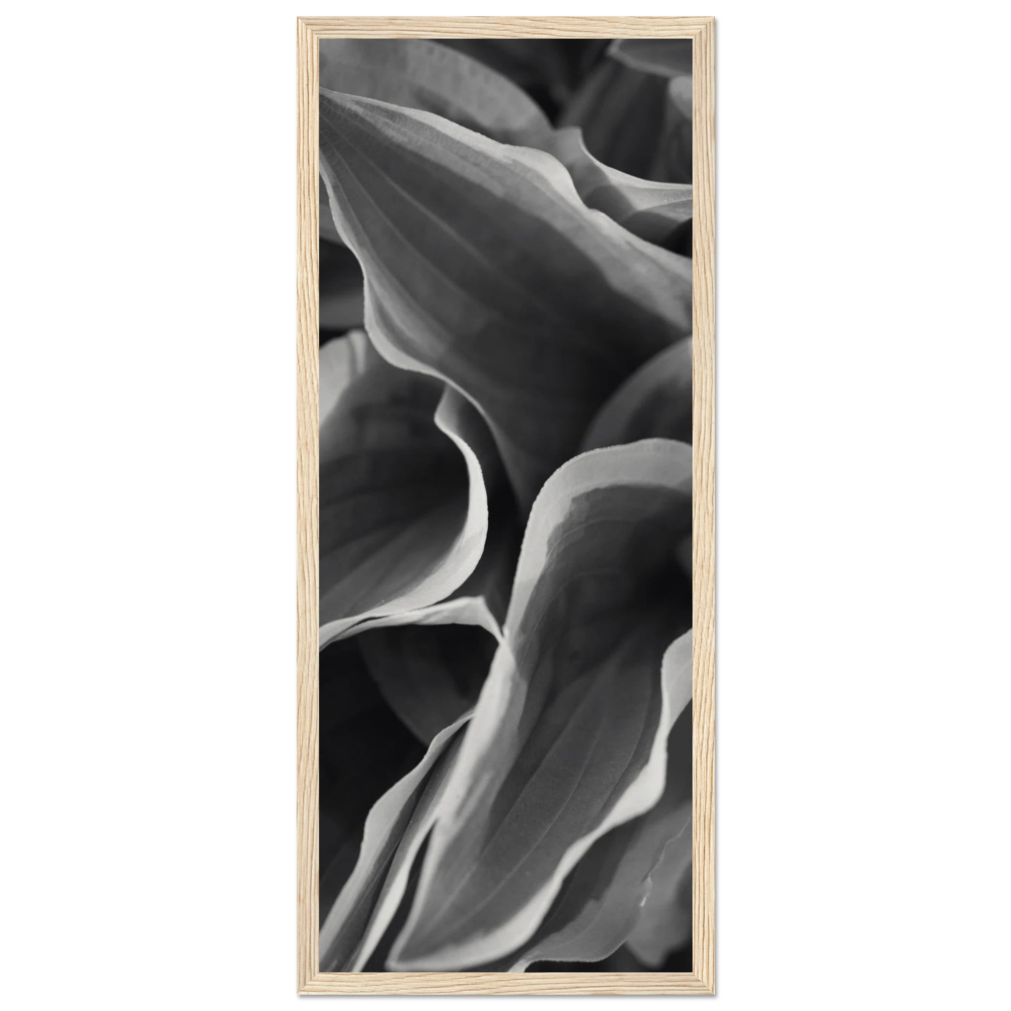 fa004a33-bc25-40f0-b410-0170b7d02a27
