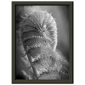 fa661677-f185-4d3e-b557-4fd276249f41