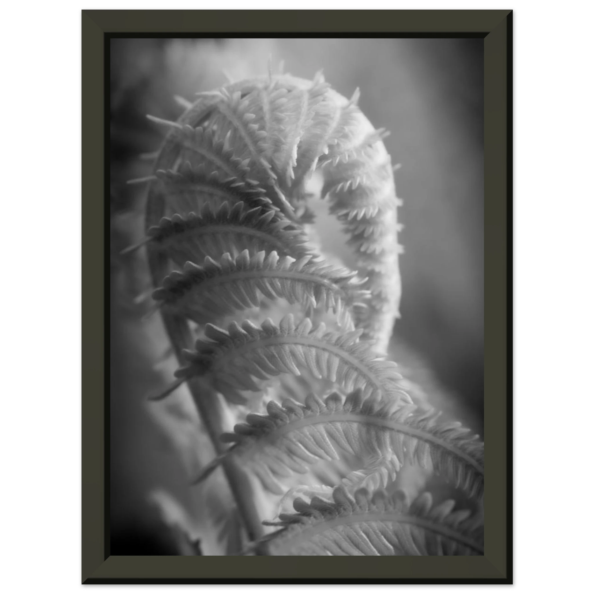 fa661677-f185-4d3e-b557-4fd276249f41