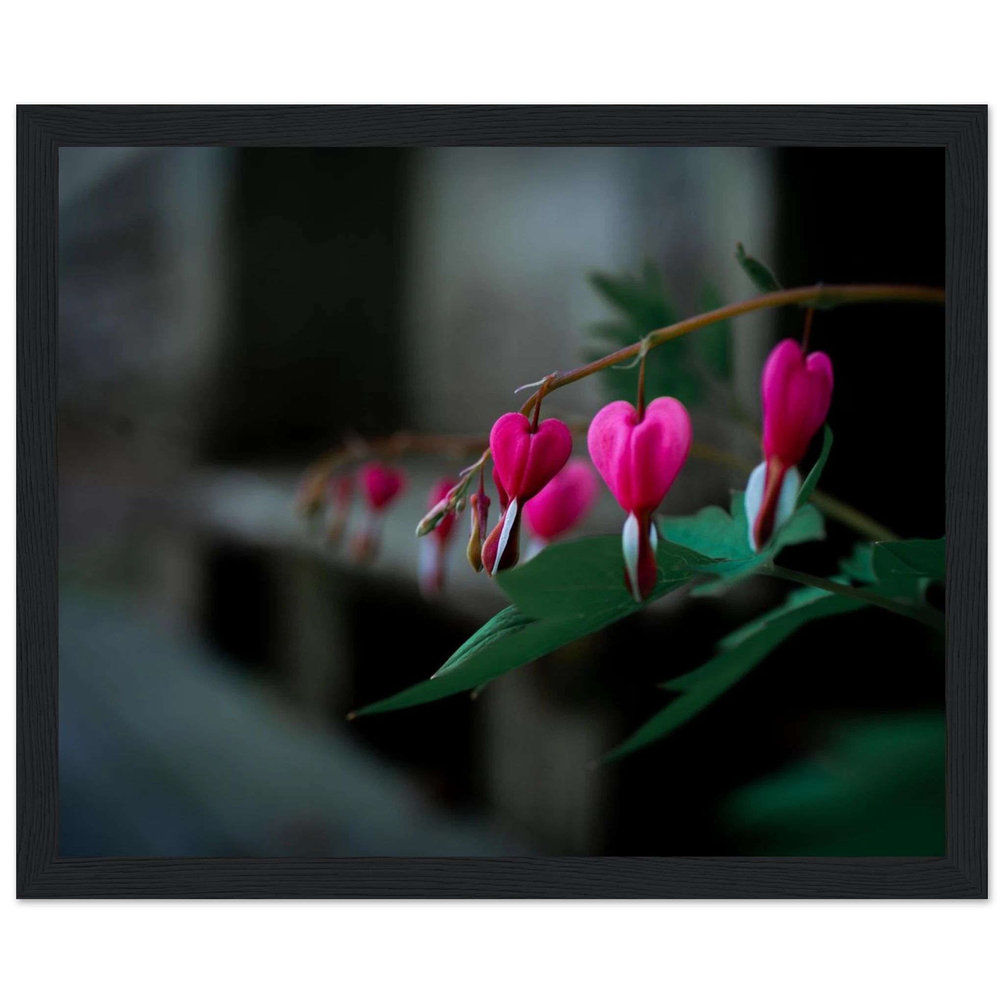 faaf3296-2b0d-41cd-ad7c-46859a03f8f2