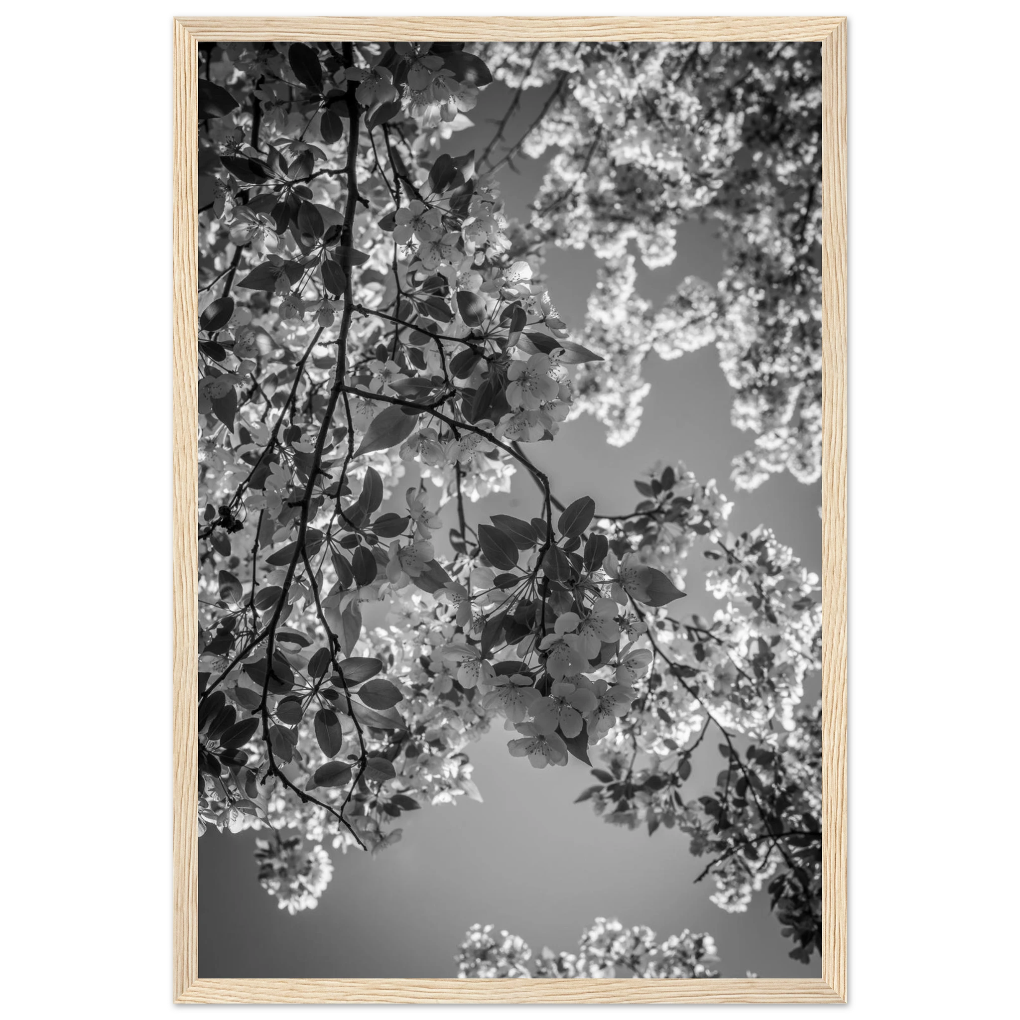 fb071246-a082-4667-8a2a-9119d1269941