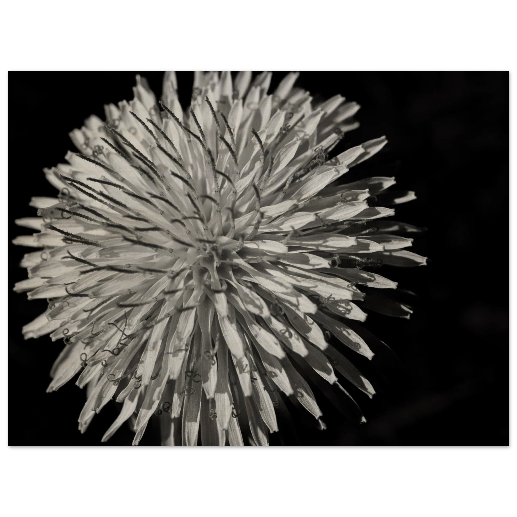 fb4088b7-83c6-4969-a83c-3e40aa4d7b91