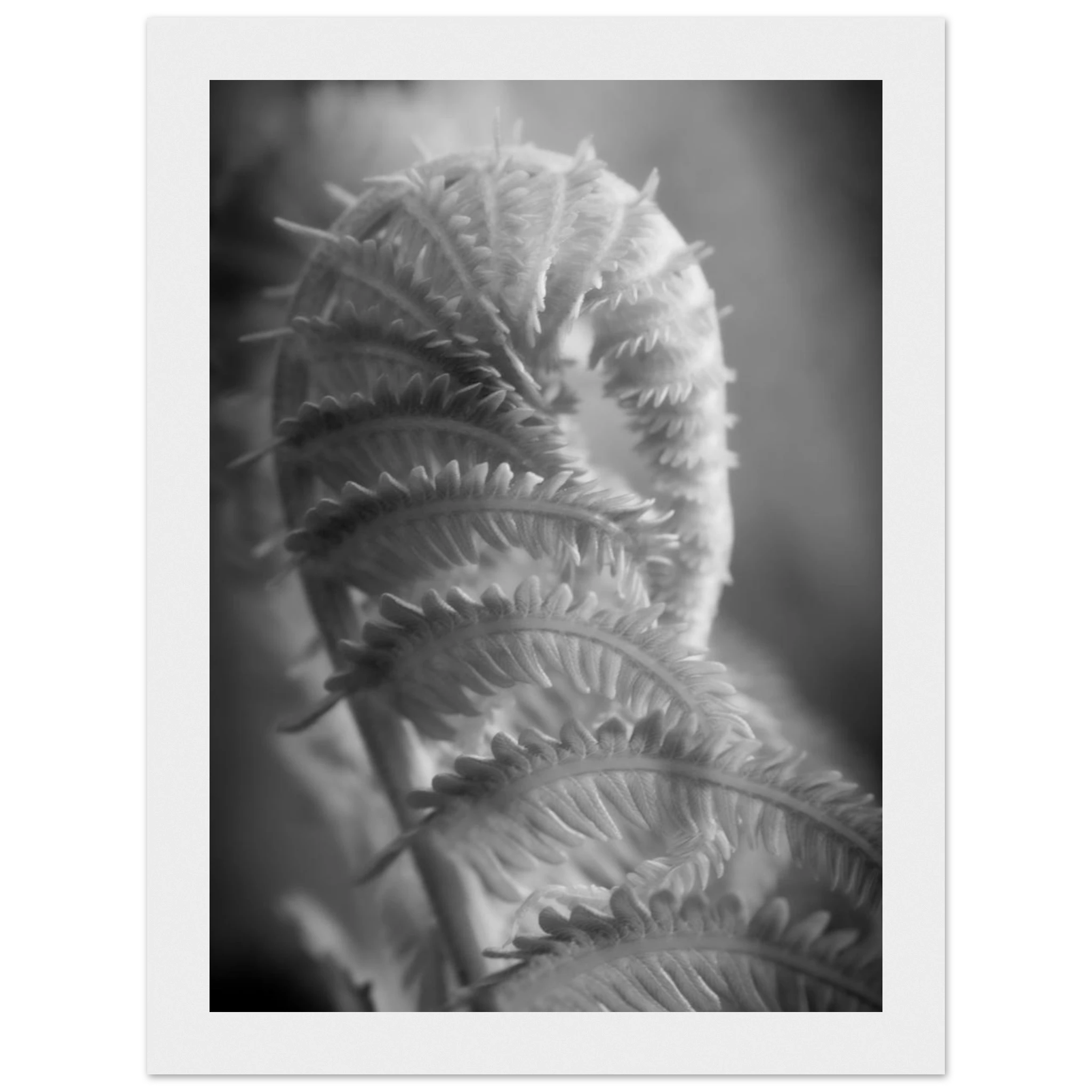fc069950-7ebb-48f5-b067-e70605d068db