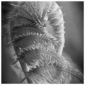 fe9d7fbb-7c09-4012-bf59-efcdb7b4e11d